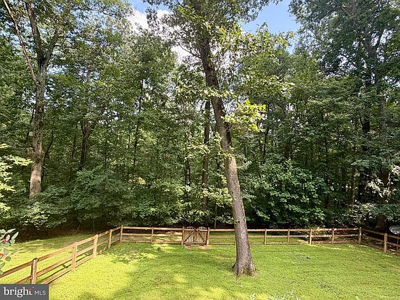 4th image of 13536 Fork Rd