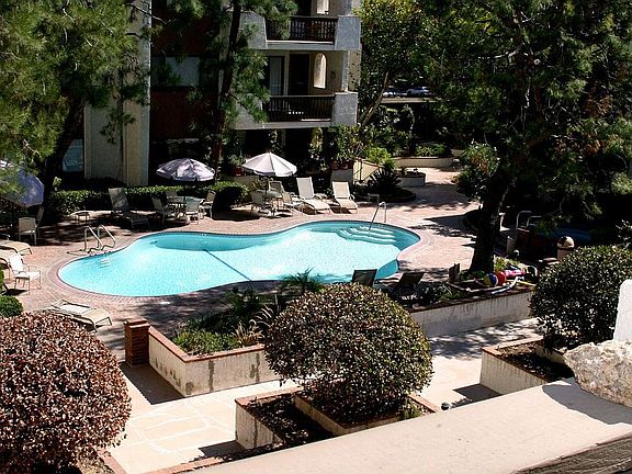 Patio View