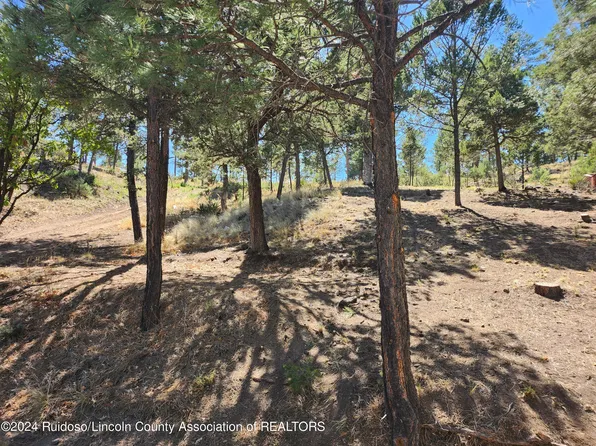 104 Catron Rd, Ruidoso, NM 88345