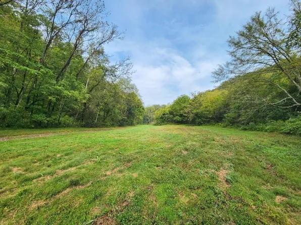 0 Webster Branch Ln Lot 1 & 6, Whitleyville, TN 38588