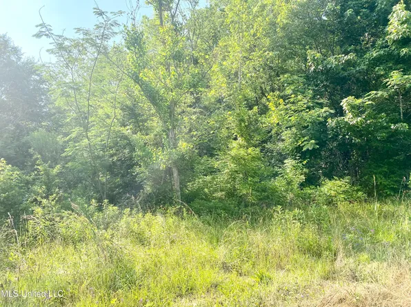 0 W Railroad Ave S, Crystal Springs, MS 39059