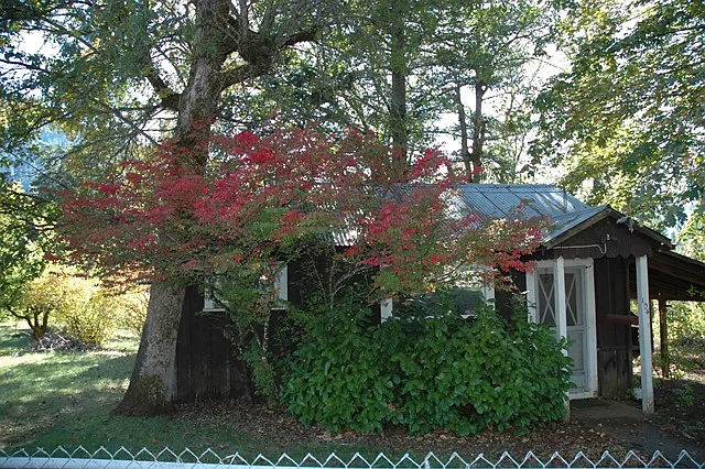 102 Reeves St photo 1