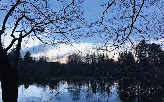 Evening view