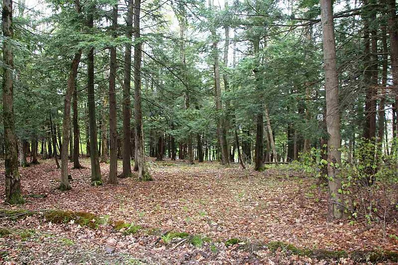 2nd image of VANDERWERKEN Road