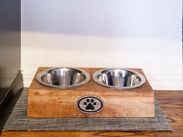 Pet Friendly!