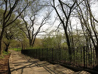 Rented by 311 Realty