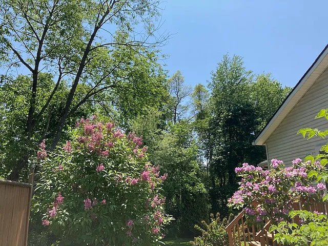 1456 Brimfield Dr — Photo 9