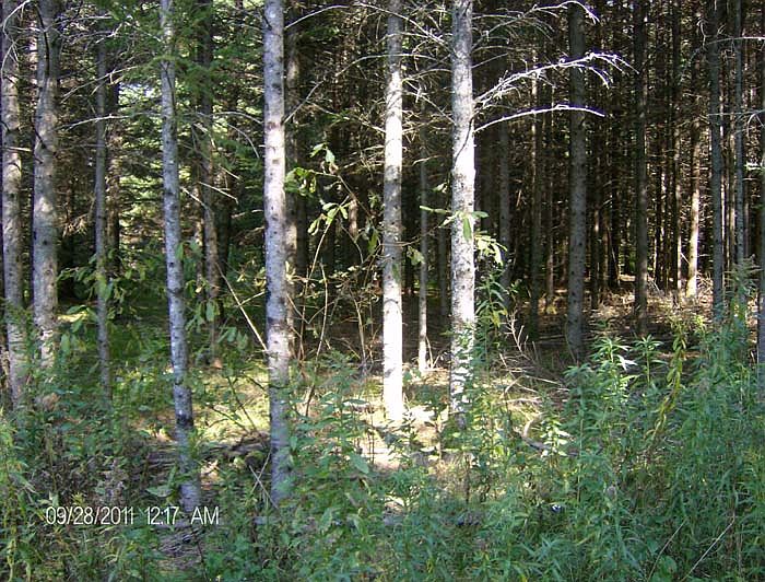 2nd image of Grimes Mill Rd.