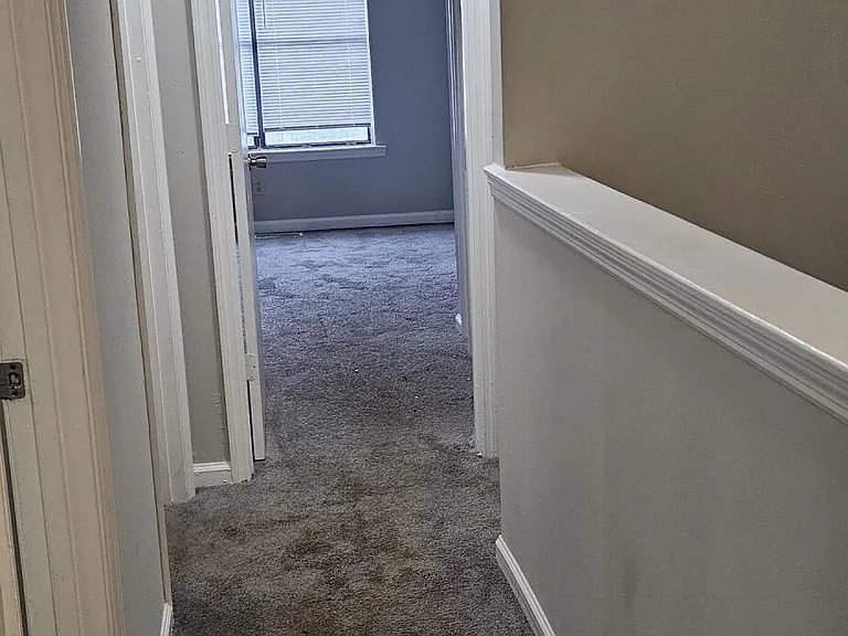 269 Pine Shadow Dr — Photo 12