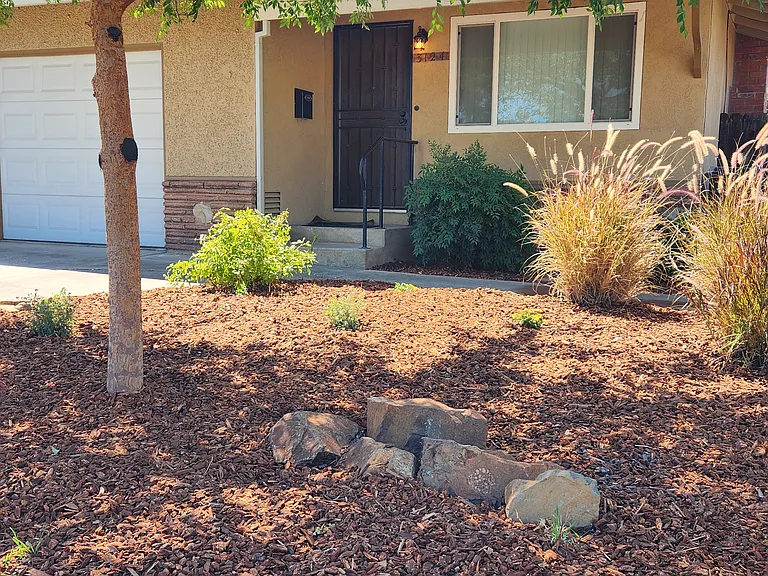 Front yard (maintained by owner)
New plants/fresh bark