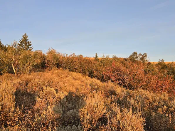 Mercer Creek Rd, Arbon, ID 83212