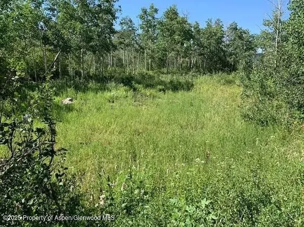 2699 Grackle Road #Lot 95, Craig, CO 81625