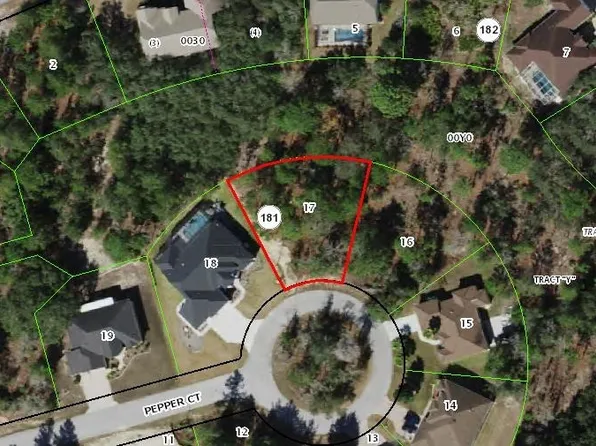 7 Pepper Ct, Homosassa, FL 34446