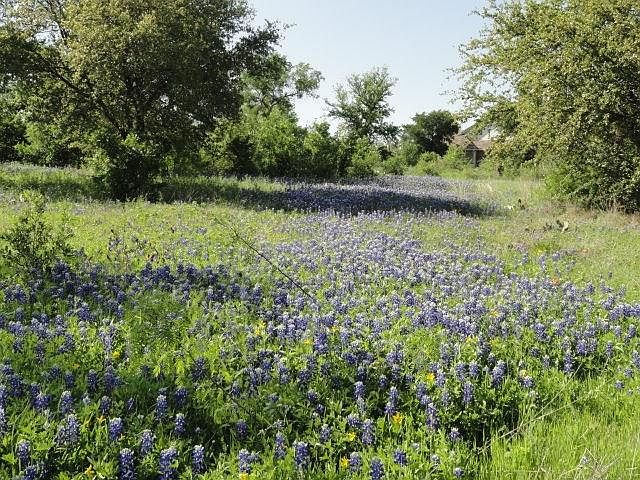 1st image of 200 Lantana Dr Lot 15