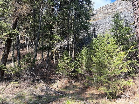 4th image of 111 TBD West Curlew Lake Road