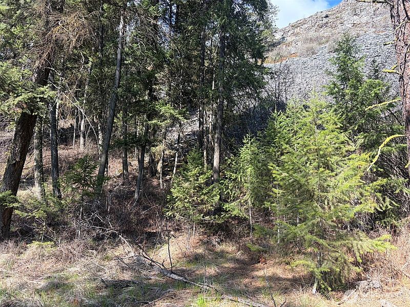 4th image of 111 TBD West Curlew Lake Road