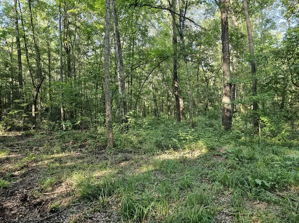 Strickland Rd, Big Sandy, TX 75755