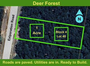 344 Exploration Rd LOT 40, New Waverly, TX 77358