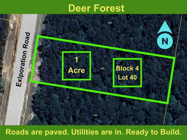 344 Exploration Rd Lot 40, New Waverly, TX 77358
