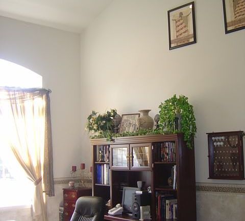 Office Vaulted Ceiling