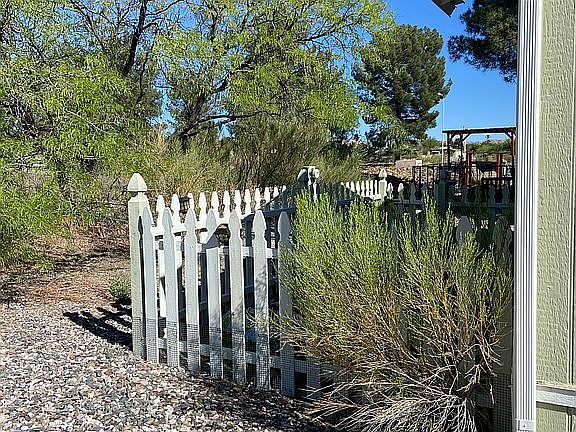 Dog yard and Mesquite tree