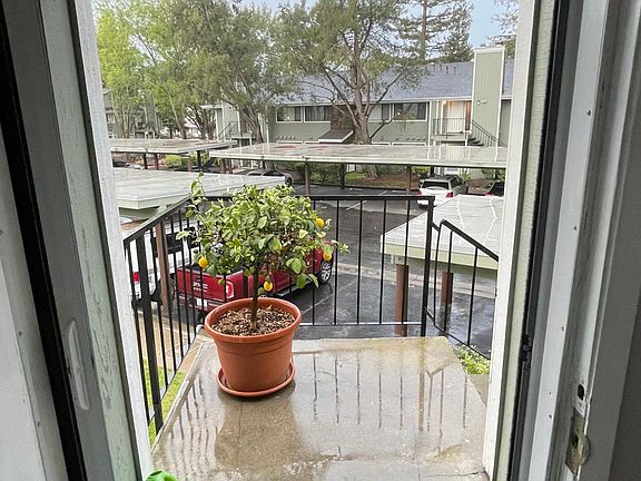 Looking out the front door.