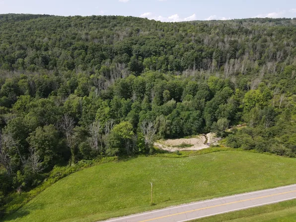 McHenry Valley Rd Lot Wp001, Almond, NY 14804