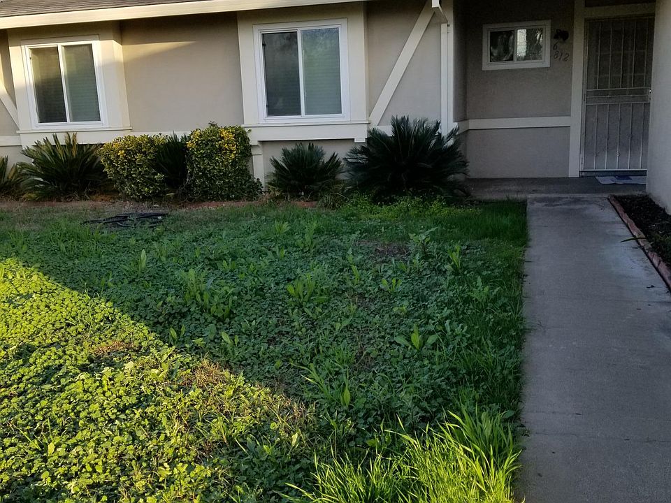 front of the home