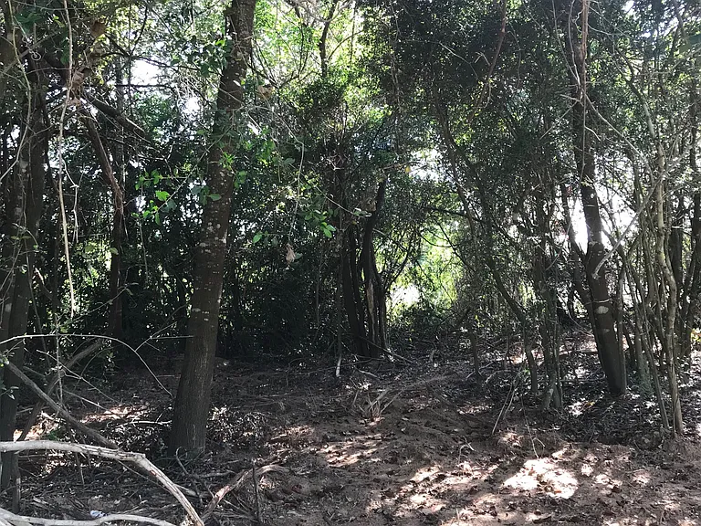 Manuel Rd — Photo 37