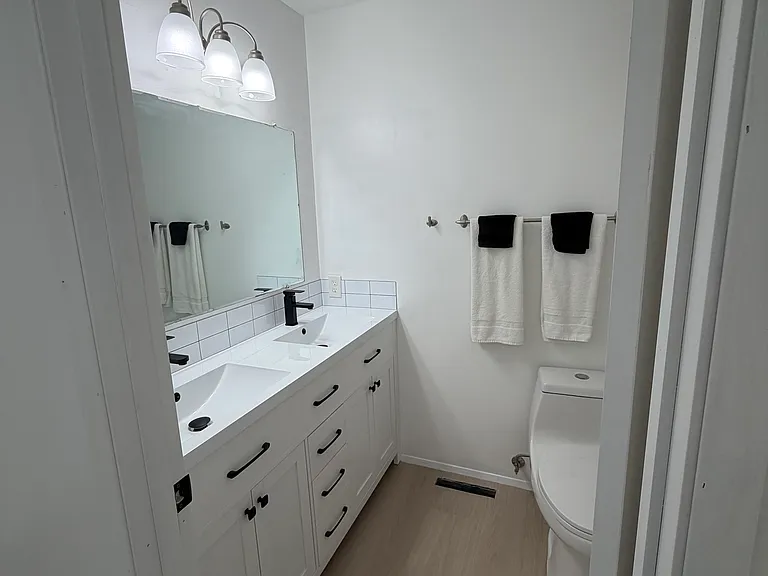 Downstairs master bath