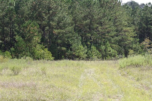1st image of 2517 County Road 49