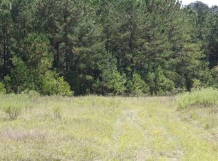 2517 County Road 49, Midland City, AL 36350