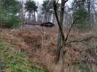 1624 Railroad Hollow Rd, South Webster, OH