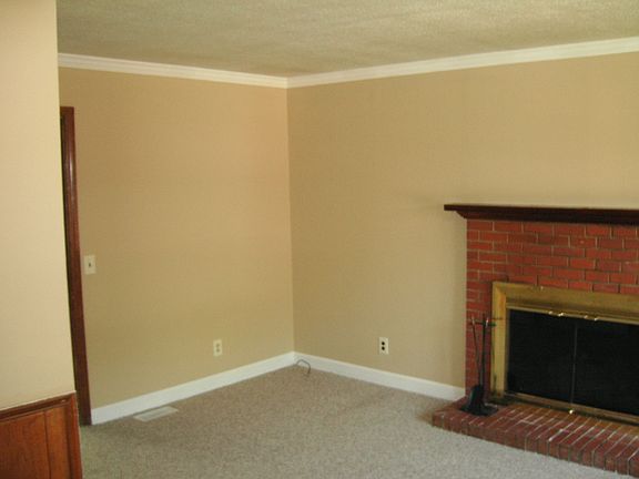 Fireplace in family room
