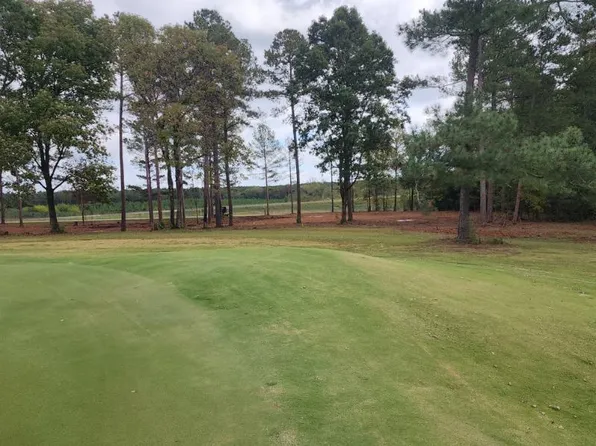 242 Persimmon Dr, Saluda, SC 29138