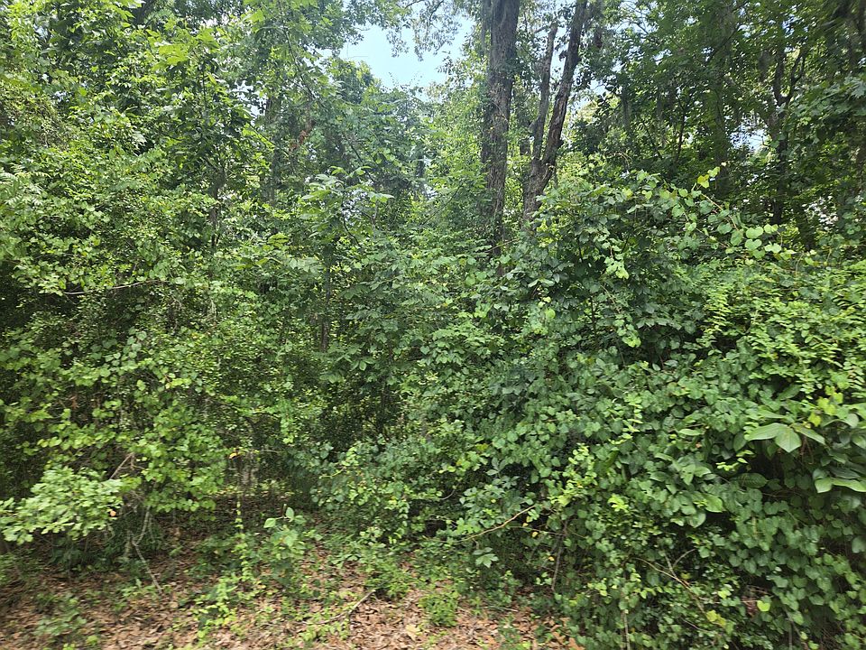 1st image of 12 Pinewood Dr