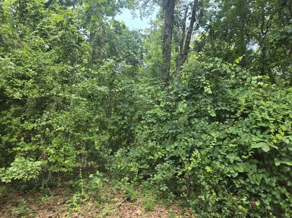 12 Pinewood Dr, Santee, SC 29142