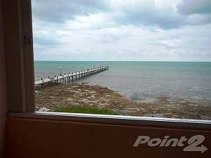 View From Window