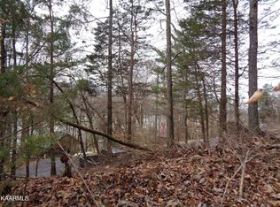 0 Jim Town Rd, Mooresburg, TN 37811