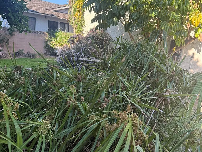 10831 Pine St — Photo 9