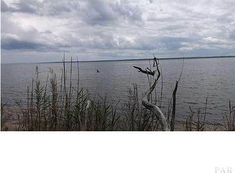 Serene daily living where nature echos. Birds- Dolphins -Fish daily from your shore.
