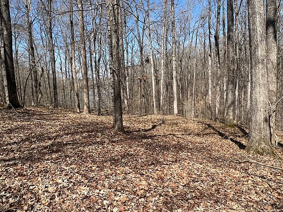 5th image of 0 Waters Edge Ln Lot 12&13