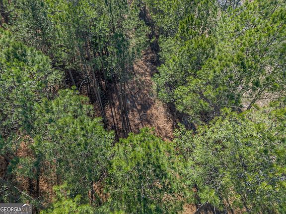 5th image of 2 Ben Giddens Rd