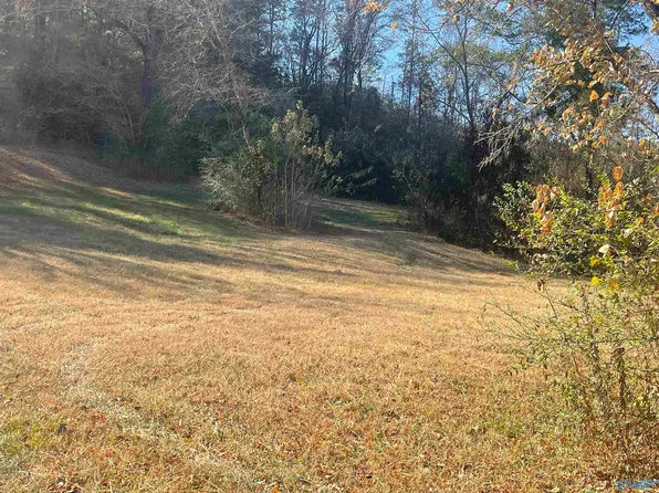 5823 E Upper River Rd, Somerville, AL 35670