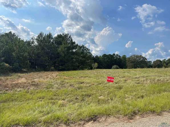 23 County Road 2204d & Dm #1797, Tatum, TX 75691