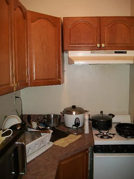 Studio, $2,450 — Photo 2