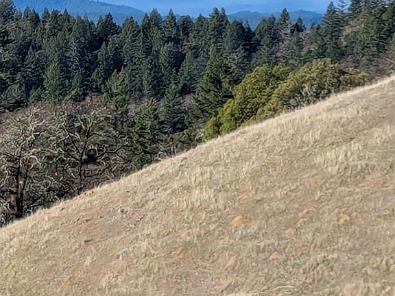 4th image of 3751 Running Springs Road