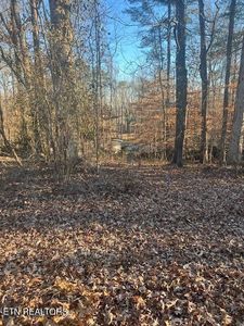 0 Beechwood Ln, Clinton, TN, 37716