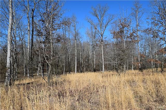 2nd image of 13 Spring Meadows Ln