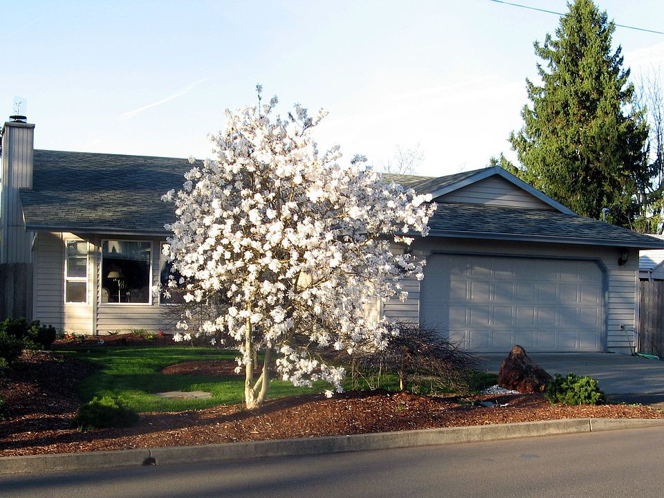 Front on home